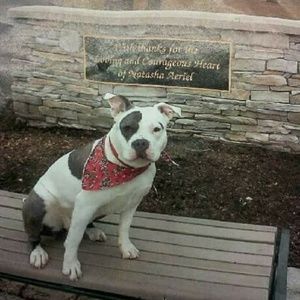 Meet your Posher, Louise